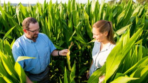 trent roberts in corn